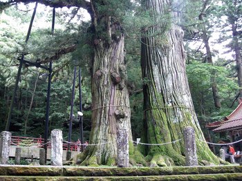 那須 那須塩原 大自然のパワースポットをめぐる おすすめドライブコース Gogo Leisure18秋 那須 八溝 那須塩原編 Pr Gogo Leisure18秋 下野新聞 Soon スーン