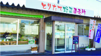 甘みたっぷり 露地栽培の白菜ｊａなす南 とりたて野菜直売所 直売所のイチオシ Jaプラザ ふぉーyou 下野新聞 Soon スーン