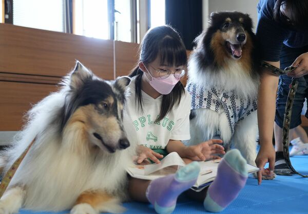 セラピー犬と一緒に読書体験 栃木図書館で初開催 地域の話題 下野新聞 Soon ニュース 下野新聞 Soon スーン