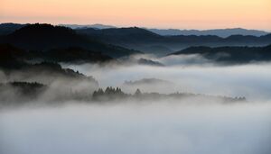 鎌倉山の眼下で幻想的に広がる雲海＝12日午前６時、茂木町九石