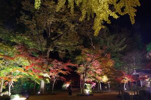 晩秋 日落ちて華やぐ 円通寺で紅葉ライトアップ 益子 地域の話題 県内主要 下野新聞 Soon ニュース とちぎの紅葉 下野新聞 Soon スーン