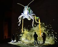 猫園長」７年の足跡 宇都宮動物園「さんた」の写真展｜地域の話題,県内 
