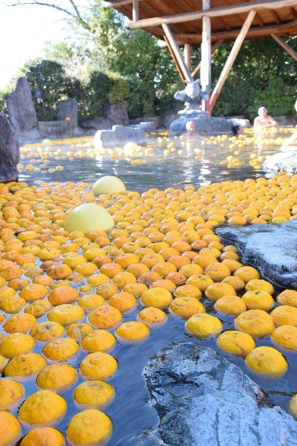 日光 東照温泉でゆず湯風呂 22日の冬至まで 地域の話題 県内主要 下野新聞 Soon ニュース 下野新聞 Soon スーン