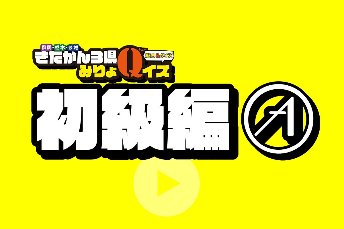 きたかん３県みりょｑイズ 初級編 ａ Movemate ムーブメイト 下野新聞社