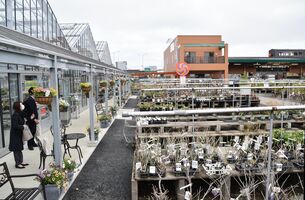 宇都宮に花木センター 大田原のみのり 18日開業 菜園愛好家など集客へ 経済 県内主要 下野新聞 Soon ニュース 下野新聞 Soon スーン