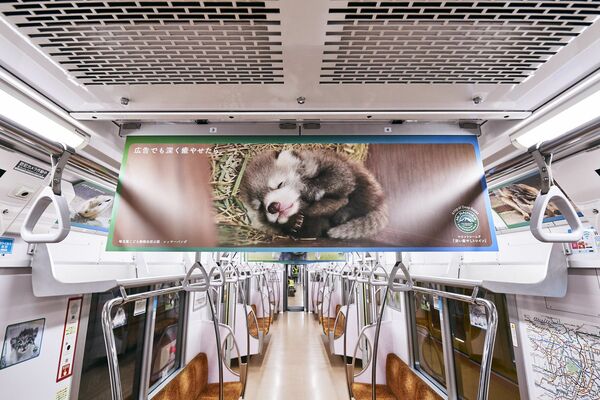 電車内に動物の赤ちゃん 森永が癒やし写真広告 経済 下野新聞 Soon ニュース 下野新聞 Soon スーン
