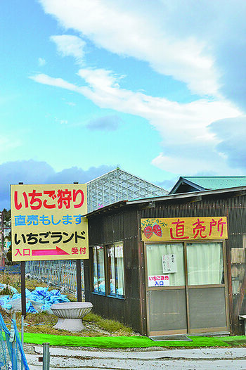 行く店買う店 イチゴ狩りに行こう Aspo特集 下野新聞 Soon スーン
