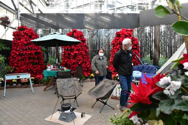 冬を彩る50種 一堂に とちぎ花センターで企画展 25日まで 県内主要 地域の話題 下野新聞 Soon ニュース 下野新聞 Soon スーン 冬を彩る50種 一堂に とちぎ花センターで企画展 25日まで 県内主要 地域の話題 下野新聞 Soon ニュース 下野新聞 Soon スーン