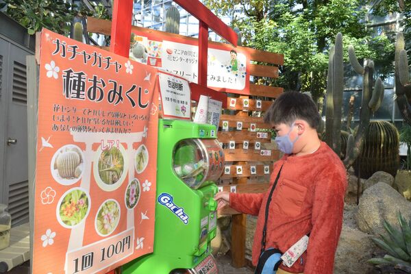たねガチャ設置10年目 とちぎ花センターの自販機 売れ行き好調50種類超に 地域の話題 県内主要 下野新聞 Soon ニュース 下野新聞 Soon スーン たねガチャ設置10年目 とちぎ花センターの自販機 売れ行き好調50種類超に 地域の話題 県内主要 下野新聞 Soon ニュース 下野新聞 Soon スーン