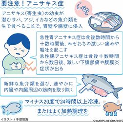 アニサキス　激しい痛みを伴う食中毒　生の魚介類は要注意【白鷗大・岡田教授が解説】