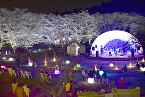 ジャズと夜桜楽しむ 栃木 かかしの里でフェス 地域の話題 県内主要 下野新聞 Soon ニュース 下野新聞 Soon スーン