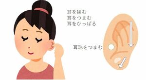 認知症予防 自分の手で マッサージ資料 無料配布 栃木の高橋さん考案 地域の話題 下野新聞 Soon ニュース 下野新聞 Soon スーン