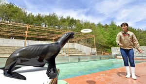 営業再開後のショーに向けて練習するオットセイと飼育員＝４日午前、那須町大島