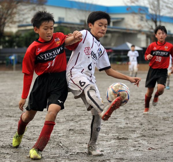 16強出そろう 栃木県少年サッカー第２日 スポーツ 県内主要 下野新聞 Soon ニュース 県少年サッカー特集 下野新聞 Soon スーン