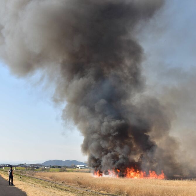 ヨシ焼き前にヨシ燃える 渡良瀬遊水地で火災 栃木 動画 事件事故 社会 県内主要 地域の話題 動画 下野新聞 Soon ニュース 下野新聞 Soon スーン