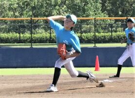 栃木 県 学童 野球 したらば