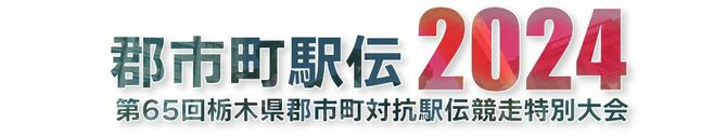 第65回県郡市町対抗駅伝競走特別大会