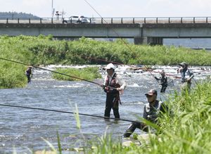 釣って楽しい 食べておいしい さくらで 鮎釣り大会 地域の話題 県内主要 下野新聞 Soon ニュース 下野新聞 Soon スーン