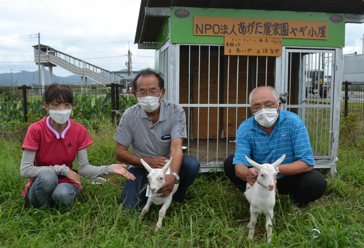 公園の草 一生懸めぇ 食べる ヤギの名前決定 あがた農楽園 地域の話題 下野新聞 Soon ニュース 下野新聞 Soon スーン