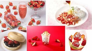 佐野アウトレットでイチゴの限定メニュー 経済 下野新聞 Soon ニュース 下野新聞 Soon スーン