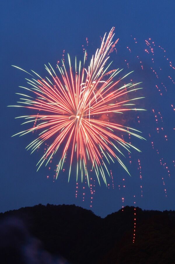 夜空に弾けるサプライズ花火 佐野 葛生地区 県内主要 地域の話題 下野新聞 Soon ニュース 下野新聞 Soon スーン