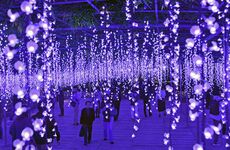 台風19号被災から復旧 イルミネーショ…