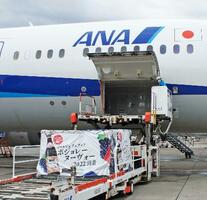 　羽田空港に到着した「ボージョレ・ヌーボー」＝１９日午前