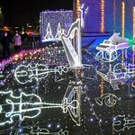 冬の夜彩る「光のオーケストラ」　大田原…