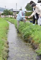 希少 シモツケコウホネ に異変 見ごろ時期に花見られず 日光 小代地区 社会 地域の話題 下野新聞 Soon ニュース 下野新聞 Soon スーン