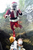 水槽にサンタクロース現る 大田原 なかがわ水遊園 動画 県内主要 社会 地域の話題 動画 下野新聞 Soon ニュース 下野新聞 Soon スーン