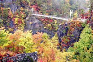 紅葉散策しながらミッション挑戦 日光市観光協会が10月からイベント 地域の話題 県内主要 下野新聞 Soon ニュース 下野新聞 Soon スーン