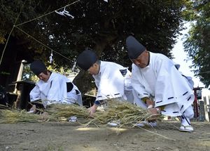 昔ながらの所作で行われた御田植祭＝１日午後、足利市福富町