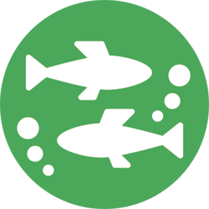 釣り