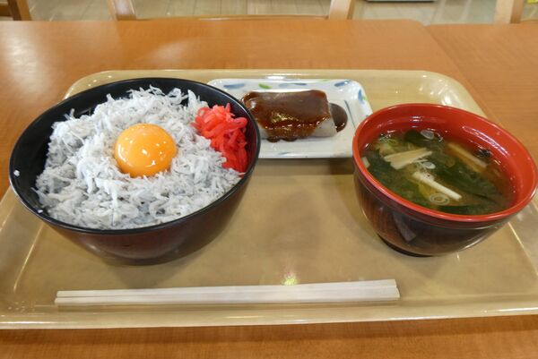 味わい百景 しらす丼 みぶのおばちゃんち 壬生 とちぎフードコート とちぎフードコート特集 下野新聞 Soon スーン