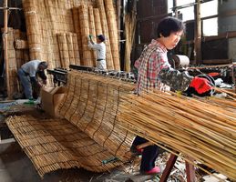 よしず 作りに汗流す 夏到来を前に最盛期 動画 県内主要 社会 動画 下野新聞 Soon ニュース 下野新聞 Soon スーン