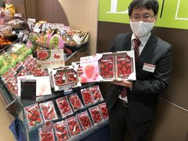 イチゴ新品種 とちあいか 出荷本番 デジタル活用 ｐｒ強化も 社会 経済 下野新聞 Soon ニュース 下野新聞 Soon スーン