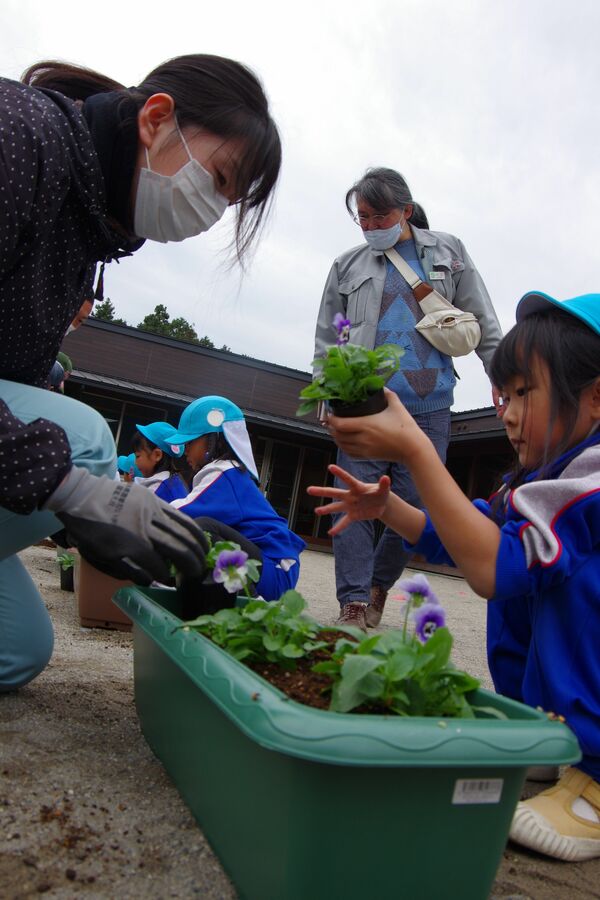 園児が花植え替え 芳賀 のぶ幼稚園で年長園児体験 地域の話題 県内主要 下野新聞 Soon ニュース 下野新聞 Soon スーン