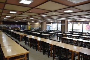 書き入れ時 打撃深刻 修学旅行生消えた日光 コロナ収束見えず 秋も不安視 社会 地域の話題 下野新聞 Soon ニュース 新型肺炎 Covid19 下野新聞 Soon スーン