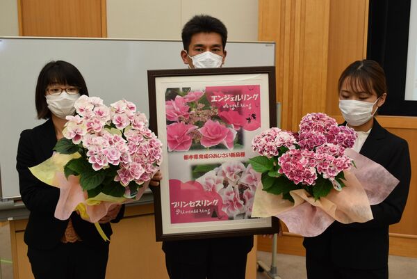 エンジェルとプリンセス アジサイ新品種 栃木県が開発 21年春発売へ 経済 下野新聞 Soon ニュース 下野新聞 Soon スーン