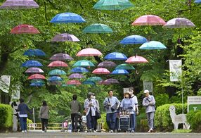 梅雨空に映える200本の傘　那須塩原・…