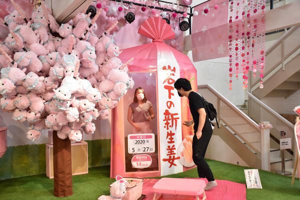 岩下の新生姜ミュージアム再開 栃木 感染症対策など注力 地域の話題 県内主要 下野新聞 Soon ニュース 新型肺炎 Covid19 下野新聞 Soon スーン