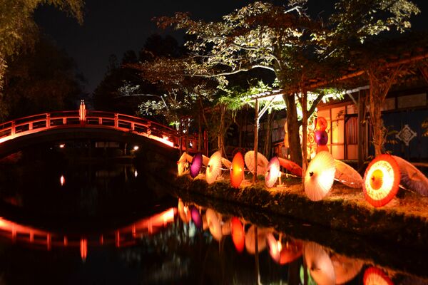 月明かり花回廊 初オンライン化 日光 鬼怒川温泉街 過去の写真や動画紹介 地域の話題 県内主要 下野新聞 Soon ニュース 新型肺炎 Covid19 下野新聞 Soon スーン
